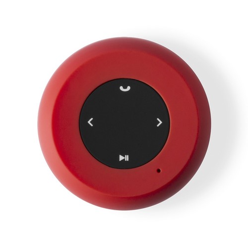 6210.jpg Altavoz Braiss