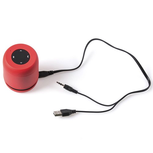 6212.jpg Altavoz Braiss