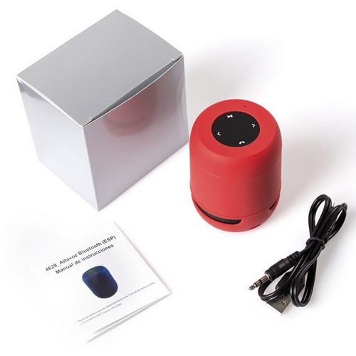 6213.jpg Altavoz Braiss