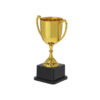 Trofeo Nynor