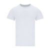 63350.jpg Camiseta Adulto Blanca Perkins