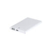 64150.jpg Power Bank Backen