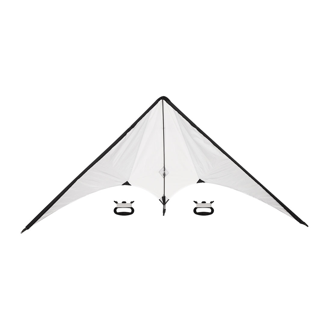 66641.jpg Cometa Strelec
