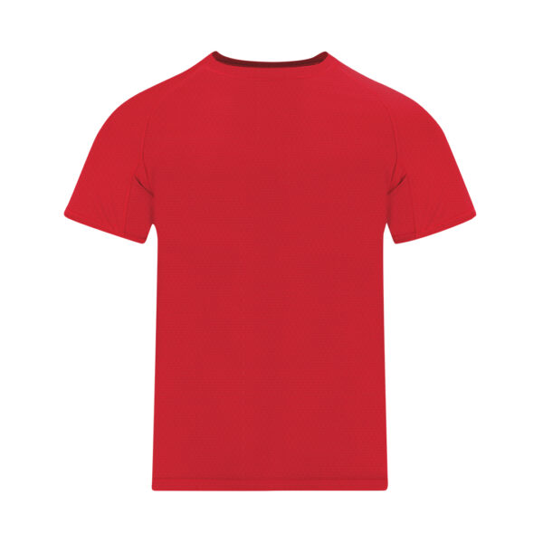 72324.jpg Camiseta Niño Cocker