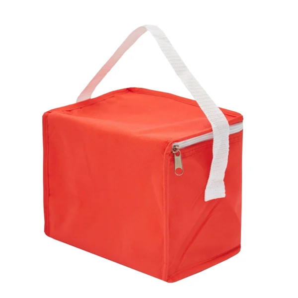 CoolerMINIdorsojpg1580915734-1729436741 Cooler Mini