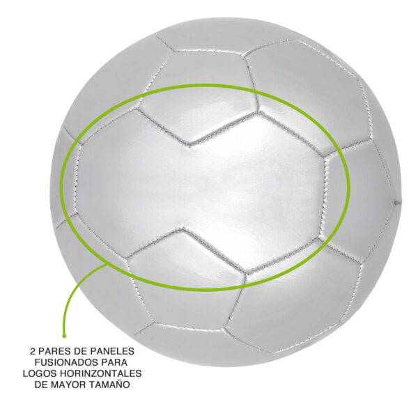 D41-2-1 Balón de Fútbol Nº5