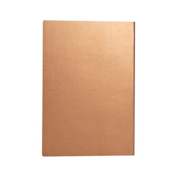 N88-44-2 Cuaderno encobrizado de PU eco-cuero