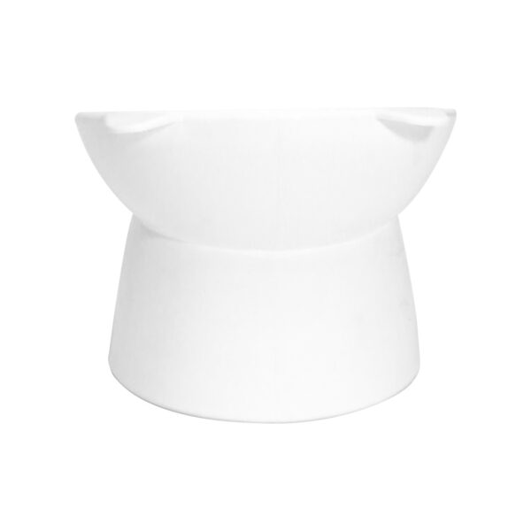 Pet Bowl plástico