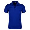 Z4 Polera Poliéster Hombre con Cuello