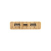 Power Bank "BAMBPOWER 2"