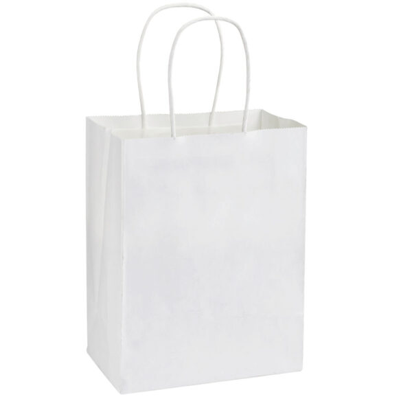 e100-02 Bolsa de Papel 120g/m2