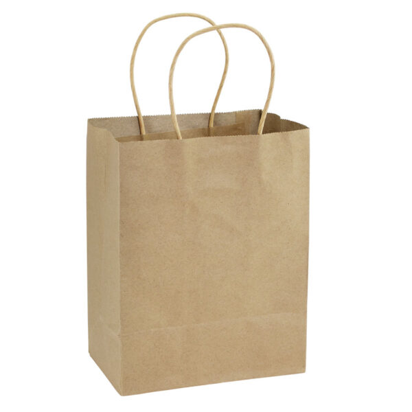 e100-03 Bolsa de Papel 120g/m2