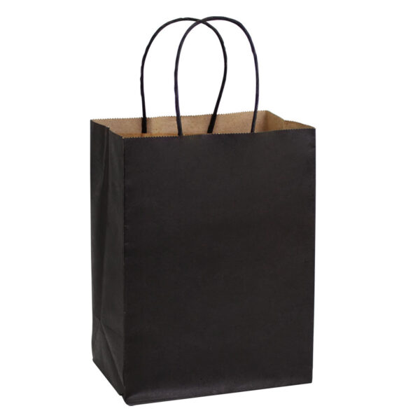 e100-04 Bolsa de Papel 120g/m2