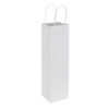 e101-02 Bolsa de Papel 120g/m2
