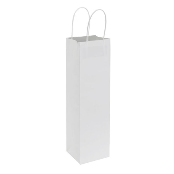 e101-02 Bolsa de Papel 120g/m2