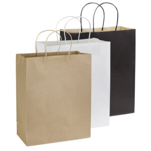 e105-01 Bolsa de Papel 120g/m2