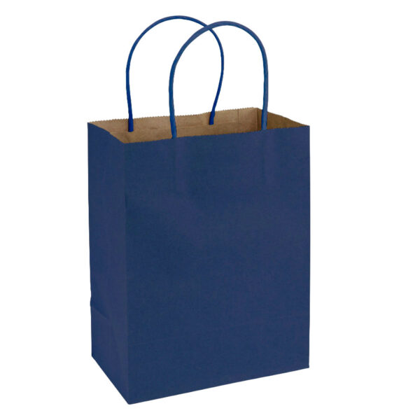 e100-02-2026 Bolsa de Papel 120g/m2